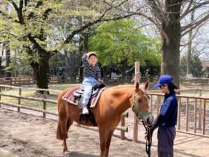 ポニー牧場乗馬2