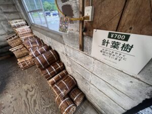 薪_針葉樹1