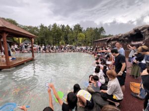 超スーパーボールすくい2