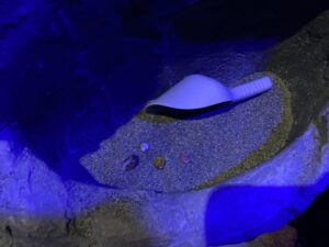 クリスタルハンター3