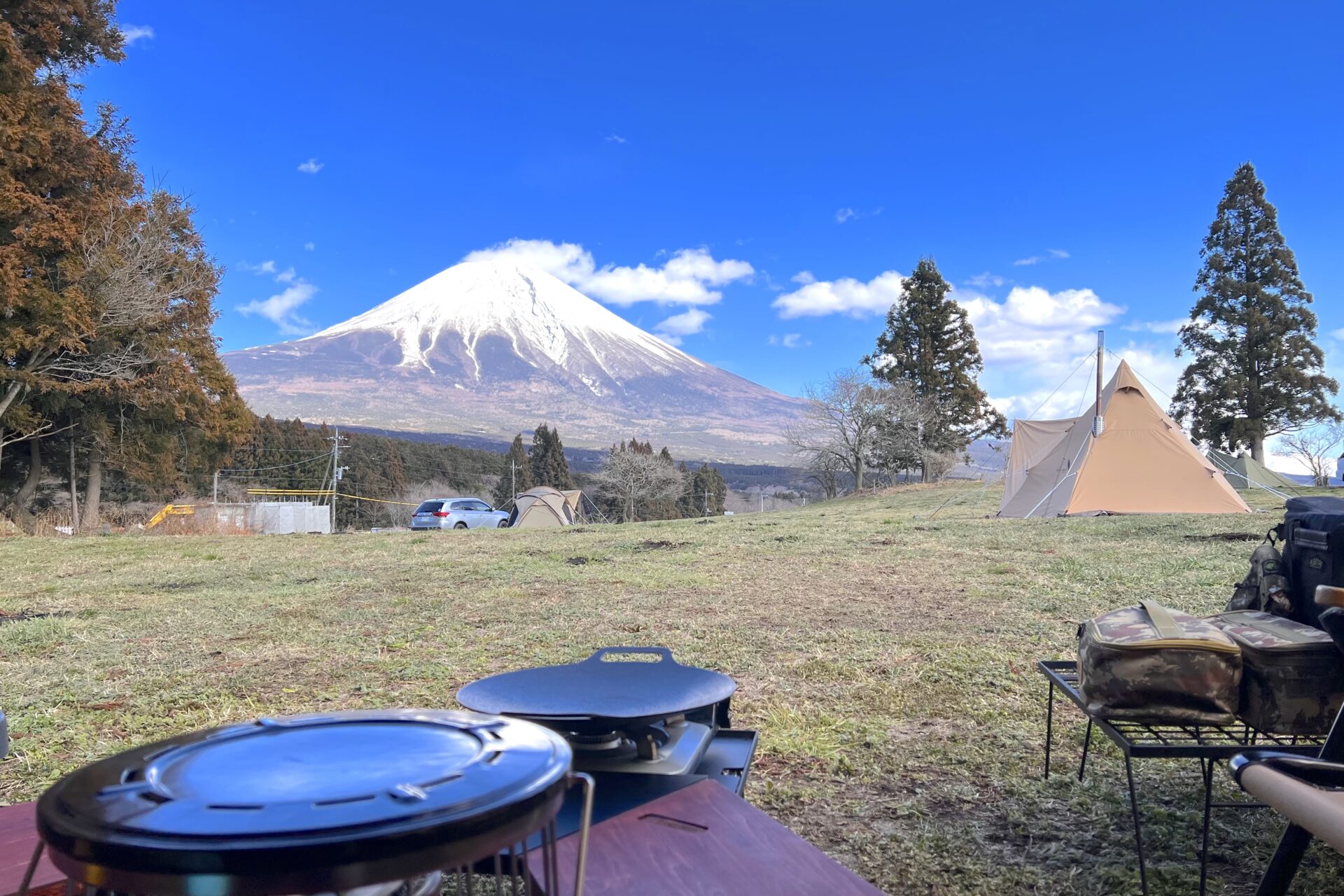 TREE LINE chillax field_メイン