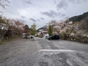 一般サイト6