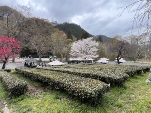 屋根付きバーベキューサイト3