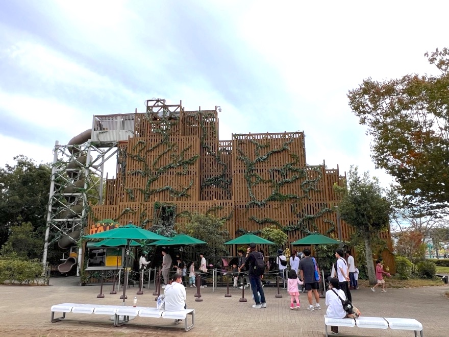木製のタワー遊具