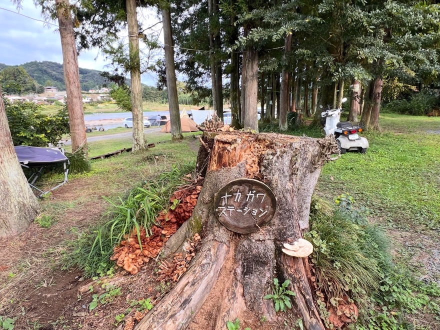 ナカガワステーションの切り株の看板